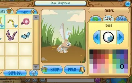 Выбор Animal Jam Eye