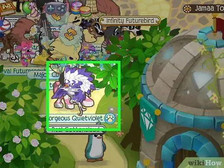 Развлекайтесь на Animal Jam, шаг 14 Развлекайтесь на Animal Jam, шаг 14