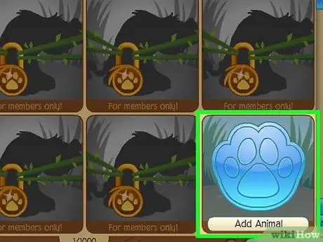 Развлекайтесь на Animal Jam, шаг 25 Развлекайтесь на Animal Jam, шаг 25