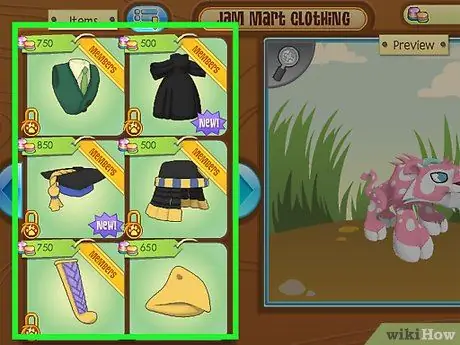 Развлекайтесь на Animal Jam, шаг 3 Развлекайтесь на Animal Jam, шаг 3