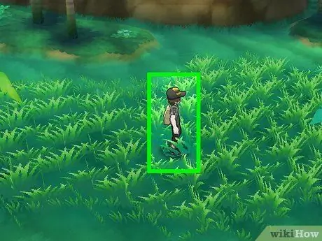 Развивайте Пикипека в Pokemon Sun and Moon, шаг 4 Развивайте Пикипека в Pokemon Sun and Moon, шаг 4