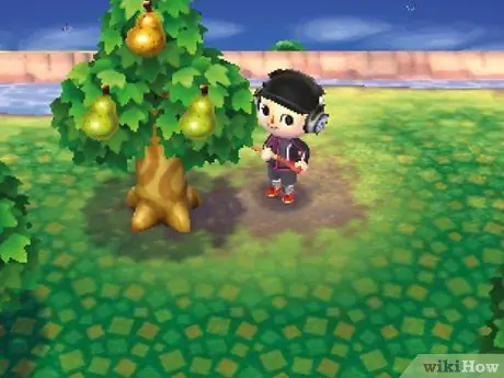 Заработай на Animal Crossing_ New Leaf, шаг 15 Заработай на Animal Crossing_ New Leaf, шаг 15