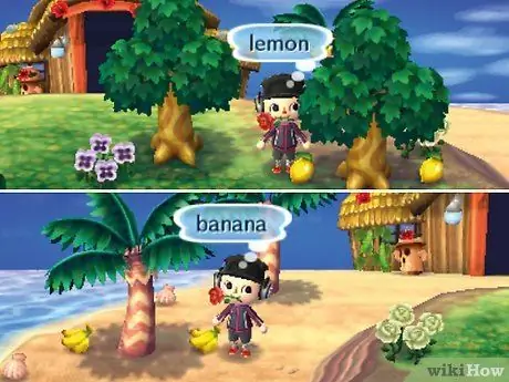 Заработай на Animal Crossing_ New Leaf Step 16 Заработай на Animal Crossing_ New Leaf Step 16