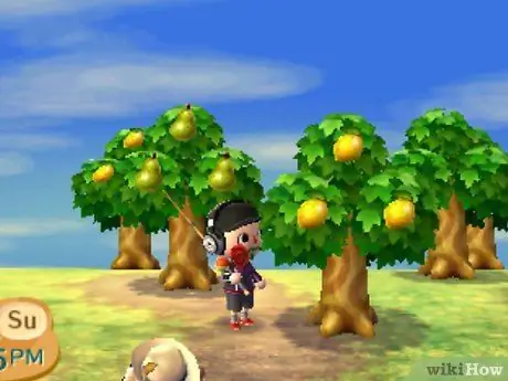 Заработай на Animal Crossing_ New Leaf Step 17 Заработай на Animal Crossing_ New Leaf Step 17