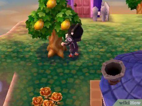Заработай на Animal Crossing_ New Leaf Step 18 Заработай на Animal Crossing_ New Leaf Step 18