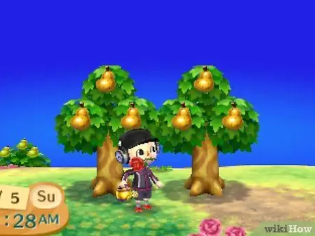 Заработай на Animal Crossing_ New Leaf, шаг 20 Заработай на Animal Crossing_ New Leaf, шаг 20
