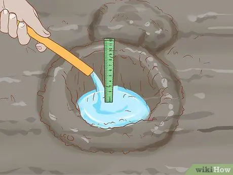 Выращивание рускуса, шаг 2 Выращивание рускуса, шаг 2
