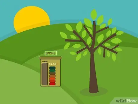 Уход за зрелыми яблонями Шаг 09 Уход за зрелыми яблонями Шаг 09