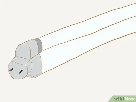 Выращивание секвойи из семян Шаг 8