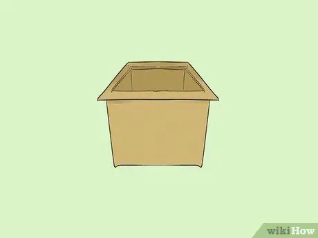Выращивание Вашингтонии Робуста Шаг 2