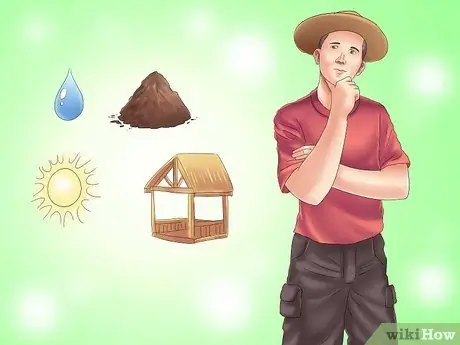 Посадить вечнозеленые кустарники Шаг 1