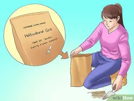 Посадить вечнозеленые кустарники Шаг 6