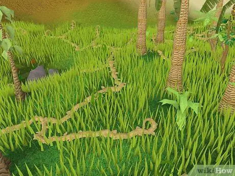 Получите 99 уровень в гадании на шаге 7 RuneScape Получите 99 уровень в гадании на шаге 7 RuneScape