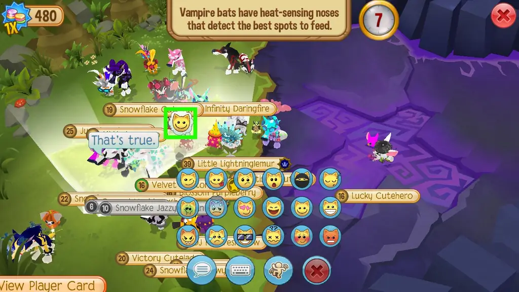 Как играть в Best Guess on Animal Jam: 13 шагов (с картинками)