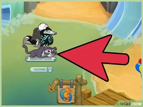 Избавьтесь от скуки в Animal Jam, шаг 19 Избавьтесь от скуки в Animal Jam, шаг 19