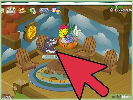 Избавьтесь от скуки в Animal Jam, шаг 4 Избавьтесь от скуки в Animal Jam, шаг 4