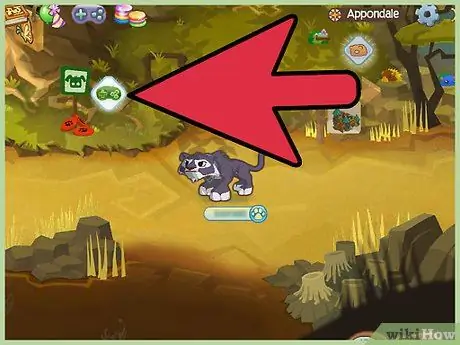 Избавьтесь от скуки в Animal Jam, шаг 5 Избавьтесь от скуки в Animal Jam, шаг 5