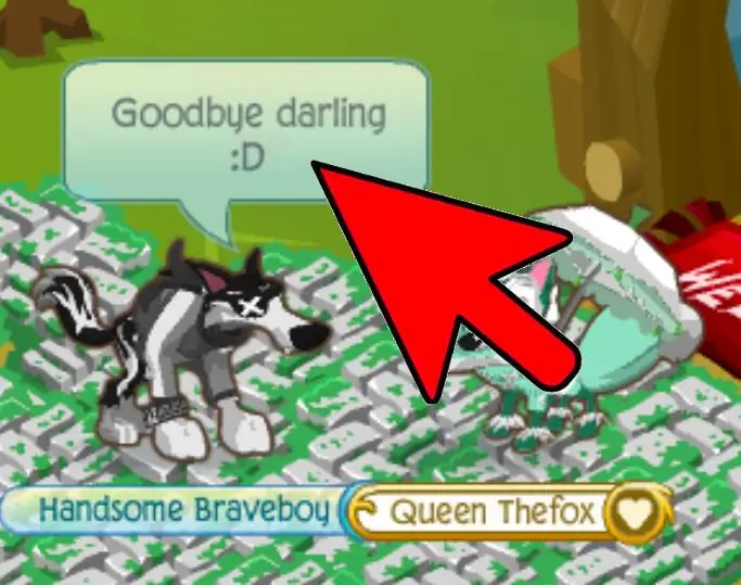 Как найти парня на Animal Jam (с иллюстрациями)