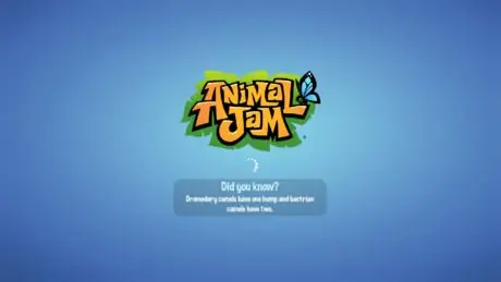 Создайте мастер-блок на Animal Jam Step 4