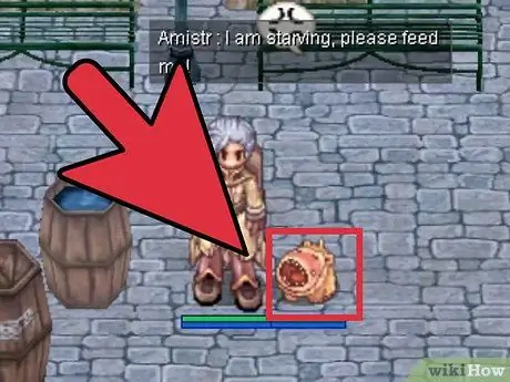 Сделать гомункула в Ragnarok Online Шаг 12