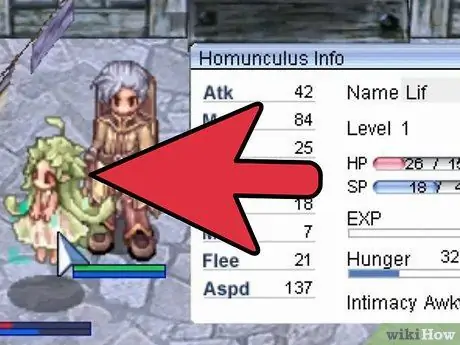 Сделайте гомункула в Ragnarok Online Шаг 4