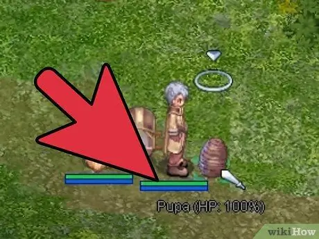 Сделать гомункула в Ragnarok Online Шаг 8