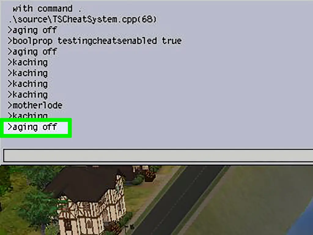 3 способа предотвратить старение в The Sims