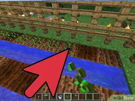 Постройте простую ферму в Minecraft, шаг 8 Постройте простую ферму в Minecraft, шаг 8