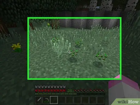 Сельскохозяйственные культуры в Minecraft, шаг 1