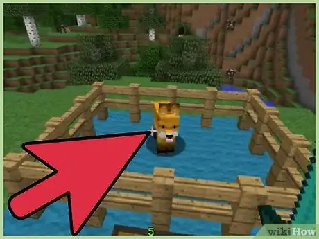 Установите Mo Creatures Step 17