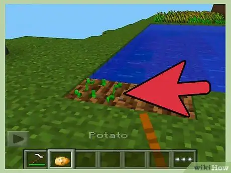 Найди картошку в Minecraft PE, шаг 7 Найди картошку в Minecraft PE, шаг 7