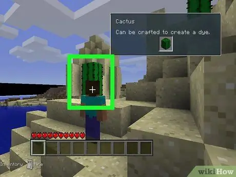 Сделайте голубой краситель в Minecraft, шаг 16 Сделайте голубой краситель в Minecraft, шаг 16