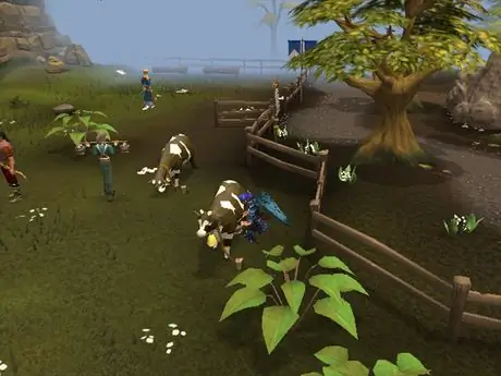 Get_a_Bucket_of_Milk_in_RuneScape_03_930