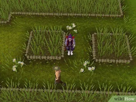 Ферма в RuneScape, шаг 4