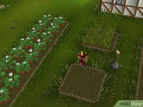 Ферма в RuneScape, шаг 5