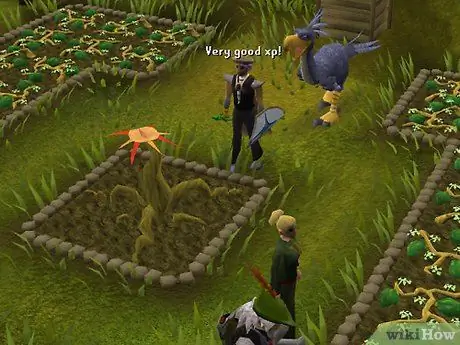 Ферма в RuneScape, шаг 6