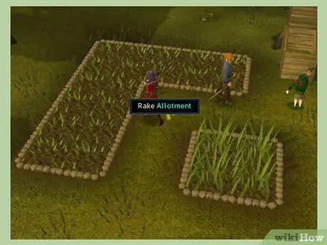 Картофель с фермы в RuneScape, шаг 3