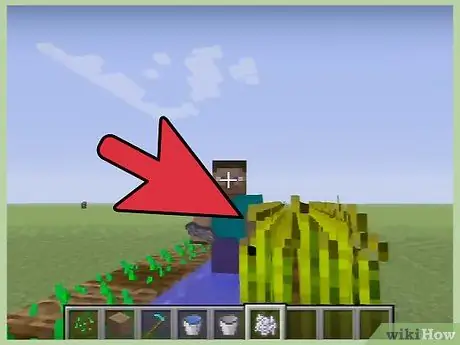 Выращивайте пшеницу в Minecraft Step 8 Выращивайте пшеницу в Minecraft Step 8