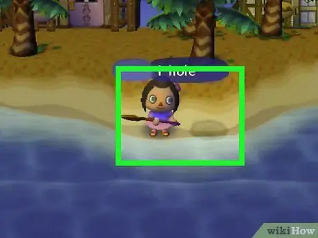 Посадить кокосовую пальму в Animal Crossing_ City Folk Шаг 6 Посадить кокосовую пальму в Animal Crossing_ City Folk Шаг 6