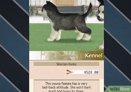 Разблокируйте всех собак на Nintendogs, шаг 2 Разблокируйте всех собак на Nintendogs, шаг 2