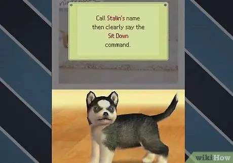 Разблокируйте всех собак на Nintendogs, шаг 3 Разблокируйте всех собак на Nintendogs, шаг 3