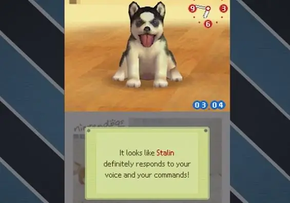 Как разблокировать всех собак на Nintendogs: 3 шага (с изображениями)