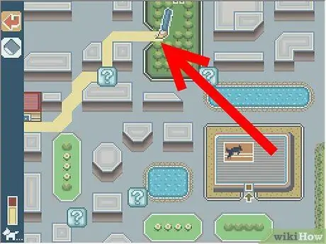 Не ждать прогулок на Nintendogs Шаг 2 Не ждать прогулок на Nintendogs Шаг 2