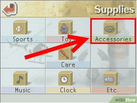 Не ждать прогулок на Nintendogs Шаг 4 Не ждать прогулок на Nintendogs Шаг 4