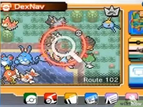 Блестящая цепочка в ORAS Step 7 Блестящая цепочка в ORAS Step 7