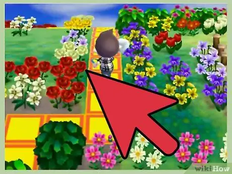 Выращивайте цветы в скрещивании животных_ New Leaf Step 3 Выращивайте цветы в скрещивании животных_ New Leaf Step 3
