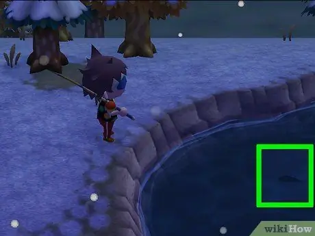 Поймать морского окуня в Animal Crossing, шаг 5 Поймать морского окуня в Animal Crossing, шаг 5
