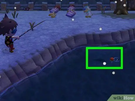 Поймать морского окуня в Animal Crossing, шаг 7 Поймать морского окуня в Animal Crossing, шаг 7