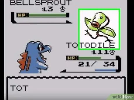 Получить Flash в Pokémon Silver, шаг 5
