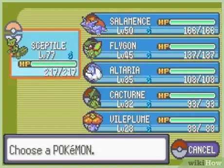 Получить водопад в Pokemon Emerald, шаг 14